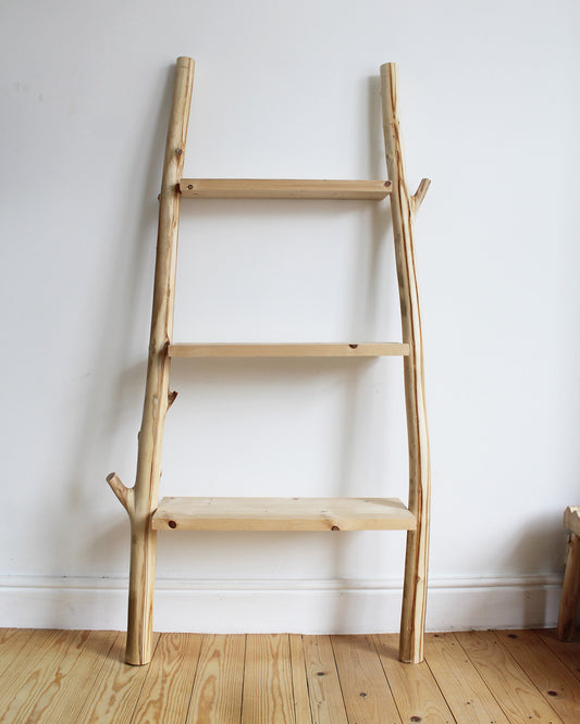 ladder shelf