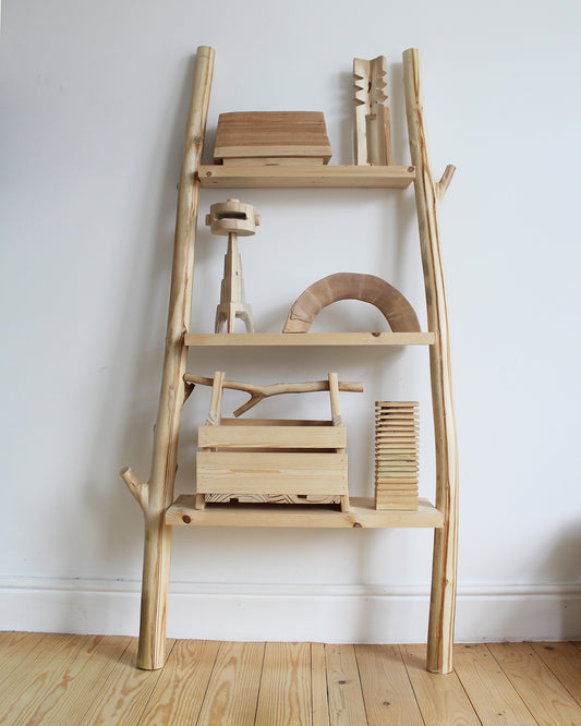 ladder shelf