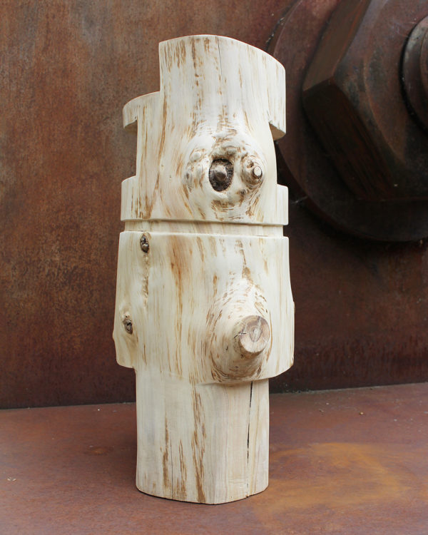sue - Image 7